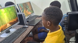 Curious Minds International School